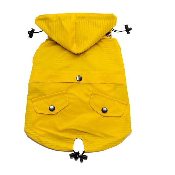 🌼 - Picture 5 of 5